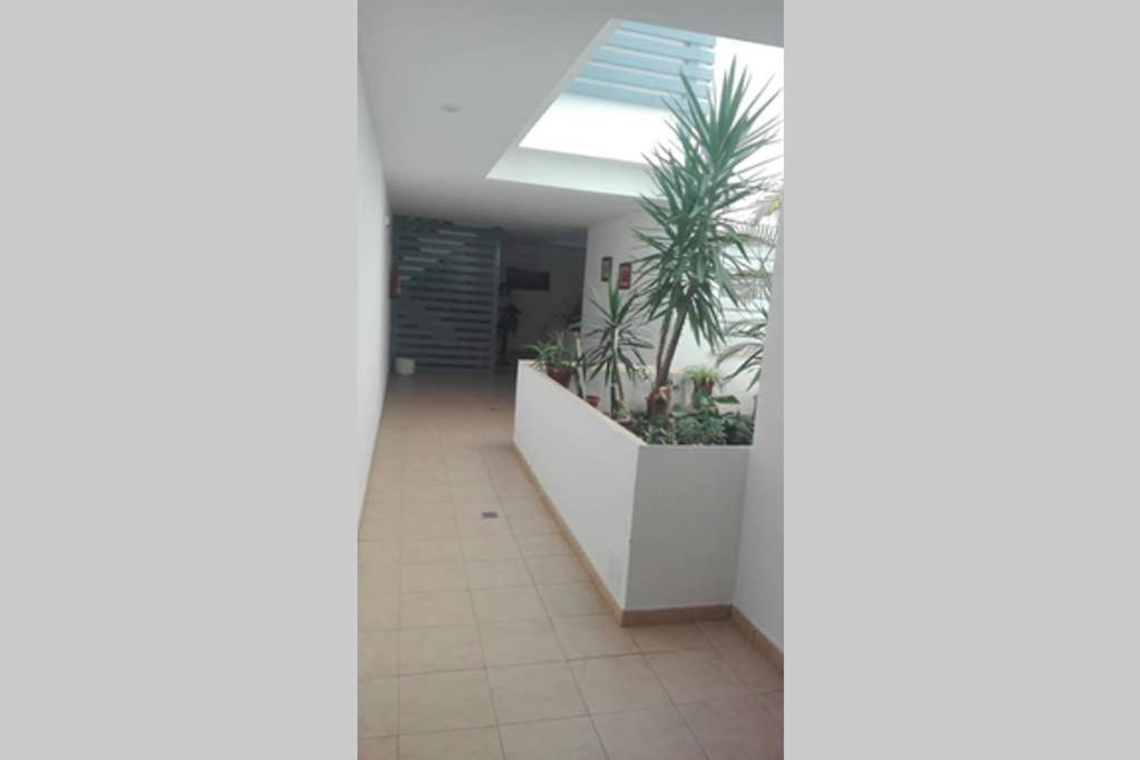 Atico La Estacion Apartment Sanlúcar de Barrameda Екстериор снимка